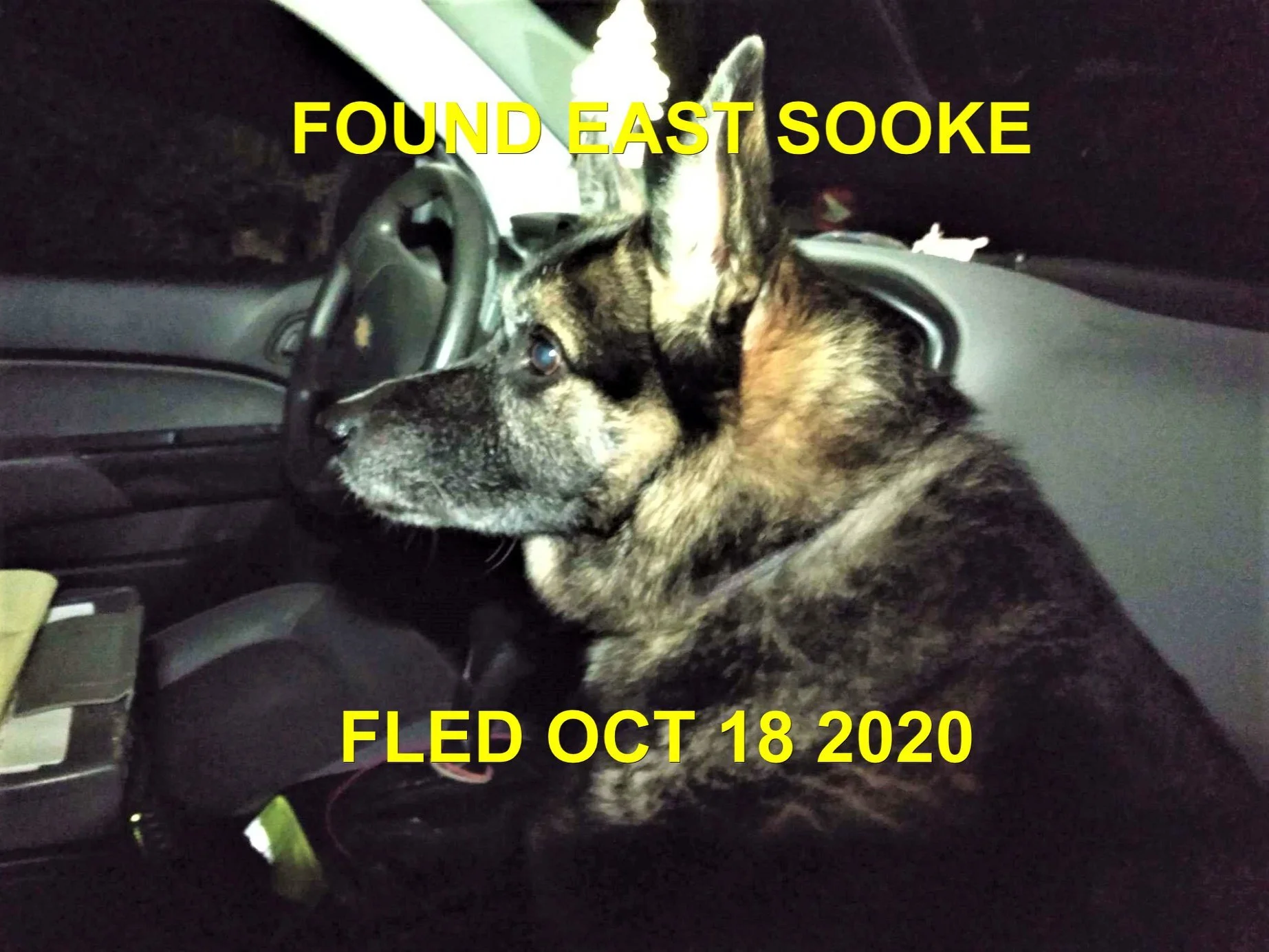 HAPPY ENDINGS - SOOKE BC - OCT. 18, 2020