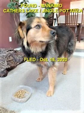 HAPPY ENDINGS - NANAIMO BC - OCT 18, 2020