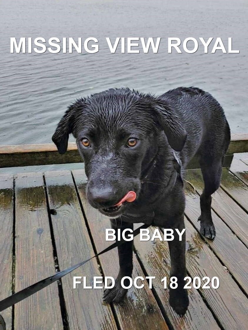 BABY - UNRESOLVED - VIEW ROYAL BC - OCT. 17, 2020