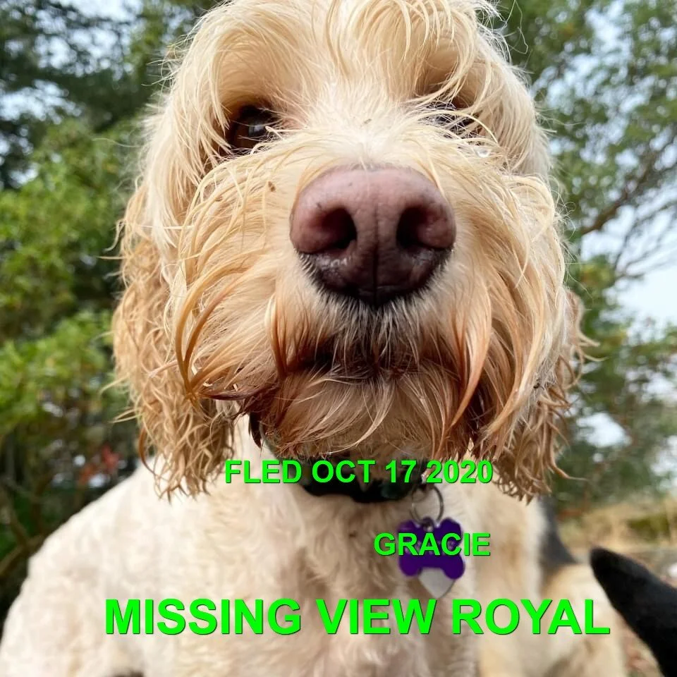 HAPPY ENDINGS - VIEW ROYAL BC - OCT 17, 2020