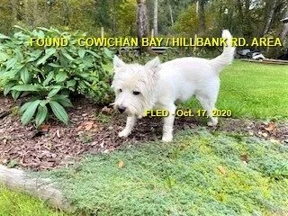 HAPPY ENDINGS - COWICHAN BAY BC - OCT 17, 2020