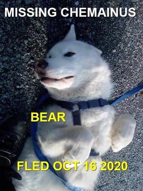 HAPPY ENDINGS - CHEMAINUS BC - OCT 16, 2020