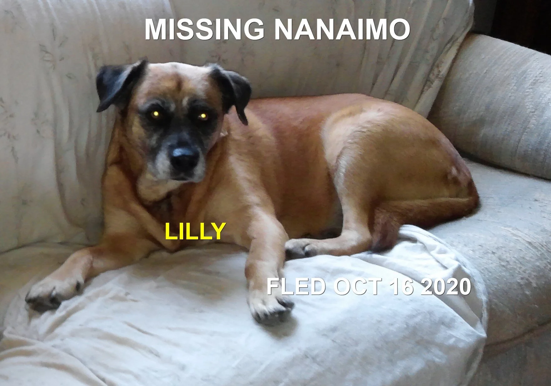 LILLY - HAPPY ENDINGS - NANAIMO BC - OCT 15, 2020