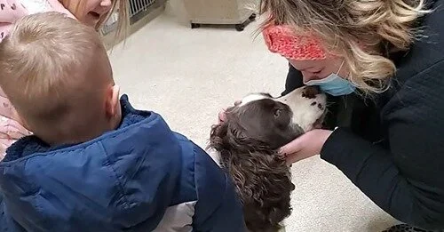SUCCESS STORY - MILO MISSING FOR 43 DAYS / JAN 8, 2021
