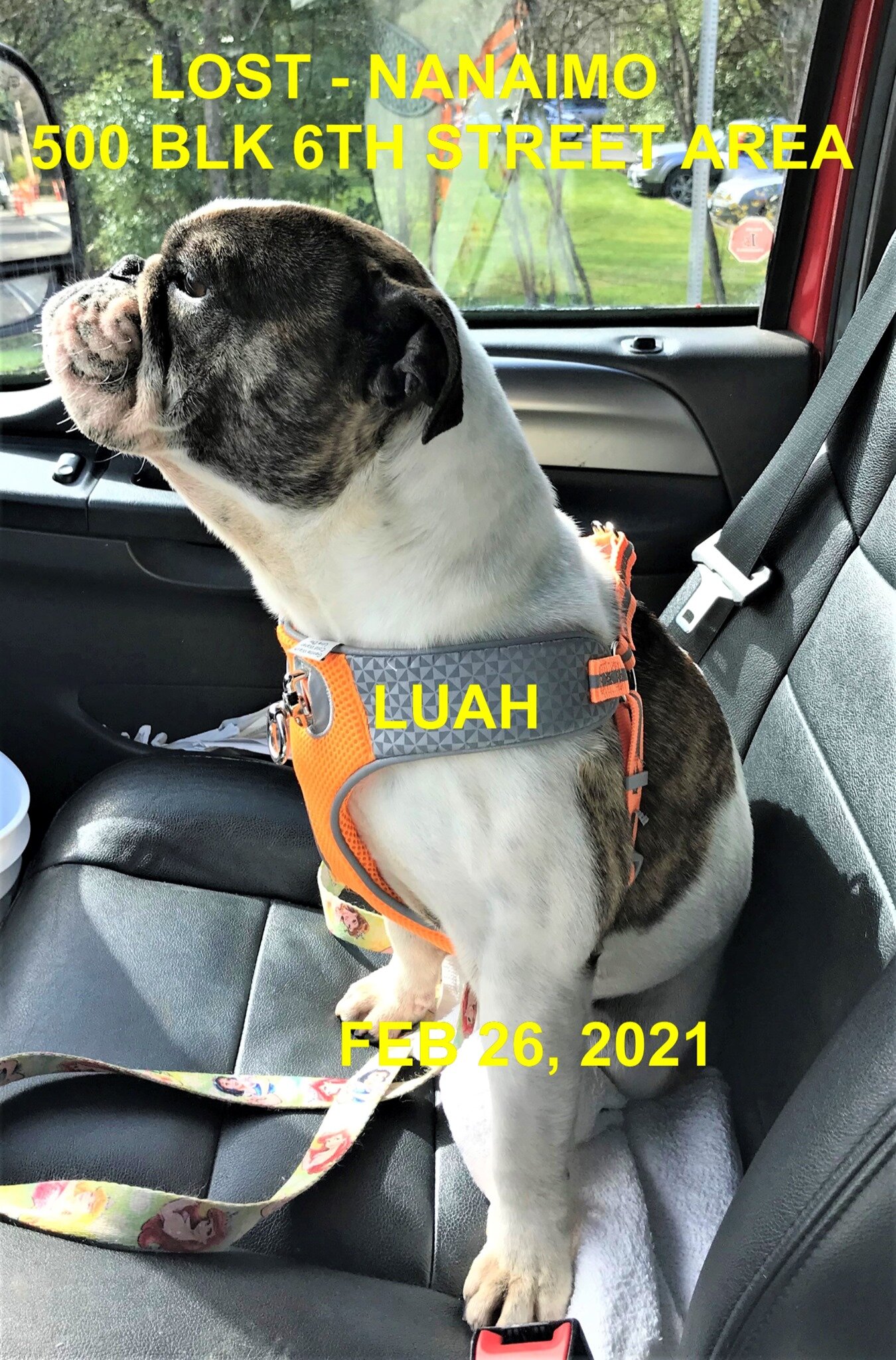 HAPPY ENDINGS - NANAIMO BC - LUAH - FEB. 25, 2021