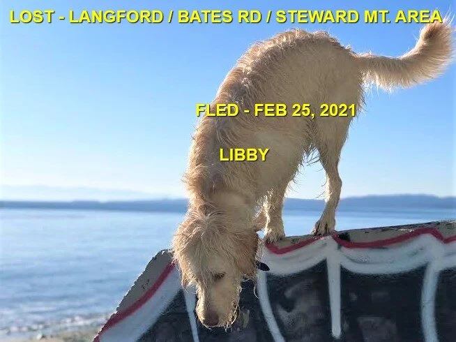 HAPPY ENDINGS - LANGFORD / HIGHLANDS BC - LIBBY - FEB. 25, 2021