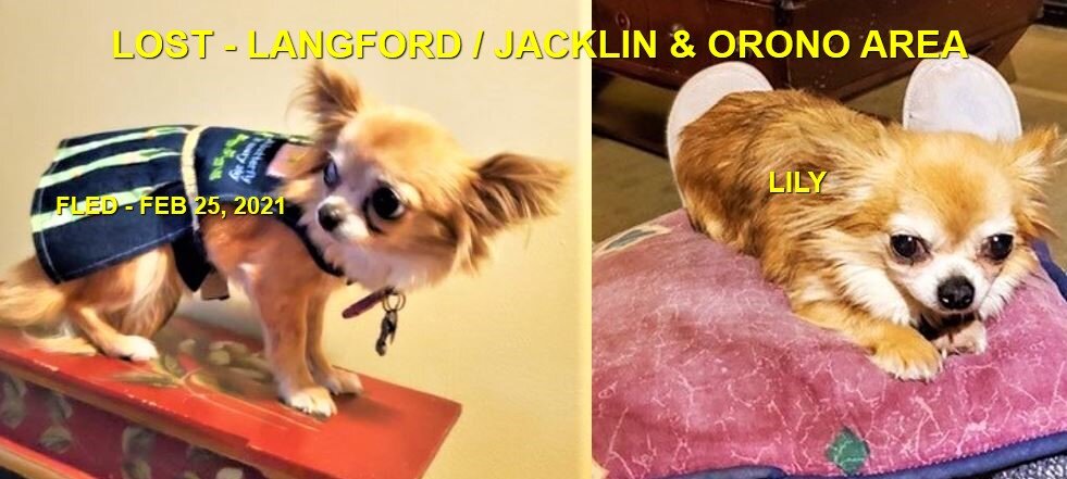 HAPPY ENDINGS - LANGFORD BC - FEB 25, 2021