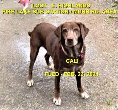 HAPPY ENDINGS - EAST HIGHLANDS BC - CALI - FEB 23, 2021