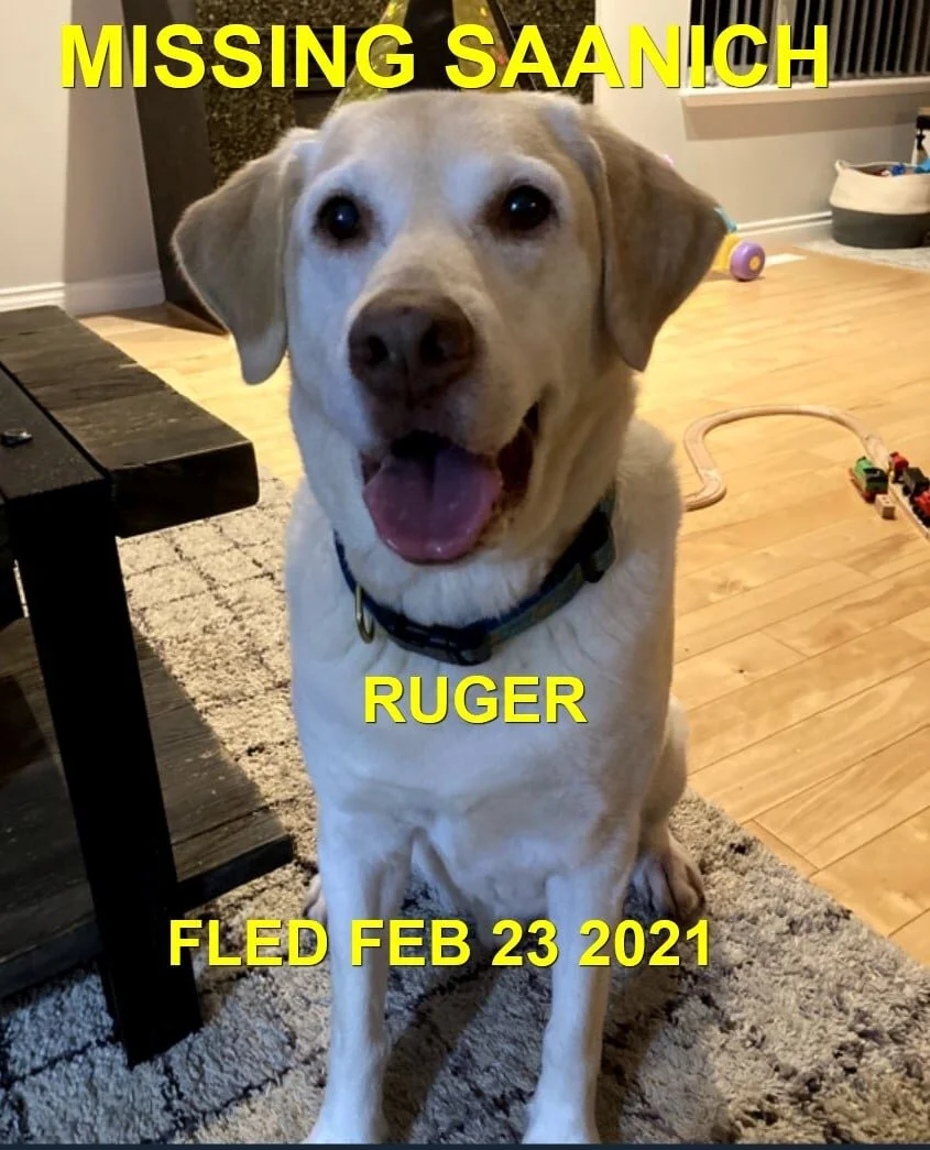 HAPPY ENDINGS - SAANICH BC - RUGER - FEB 23, 2021