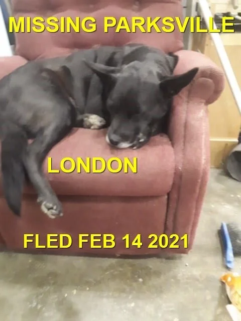STILL MISSING - PARKSVILLE BC - LONDON - FEB 14, 2021
