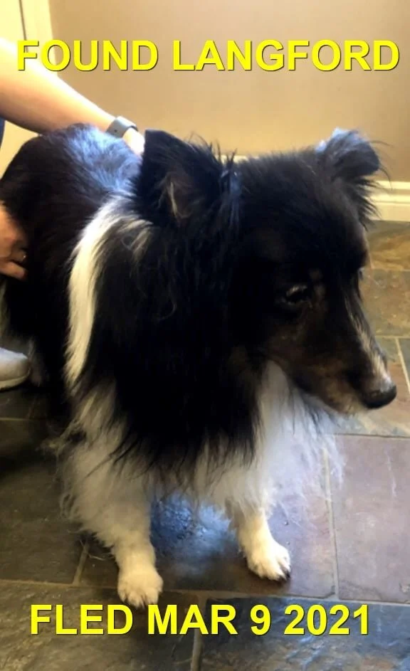 HAPPY ENDINGS - LANGFORD BC - MAR. 9, 2021