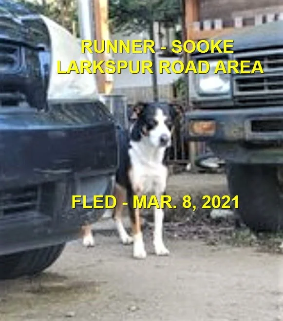 UNRESOLVED - SOOKE BC - MAR. 8, 2021