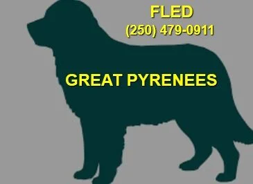 HAPPY ENDINGS - YOUBOU - MAR. 8, 2021