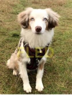 HAPPY ENDINGS - LANGFORD BC - MAR. 8, 2021