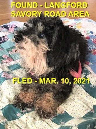 HAPPY ENDINGS - LANGFORD BC - MAR 10, 2021