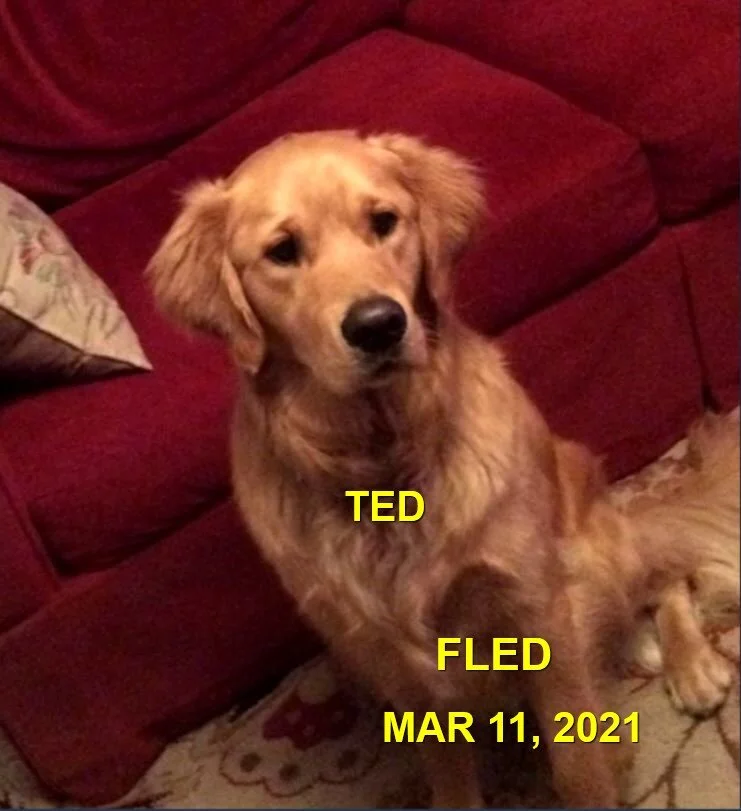 HAPPY ENDINGS - VIEW ROYAL BC - TED - MAR. 11, 2021