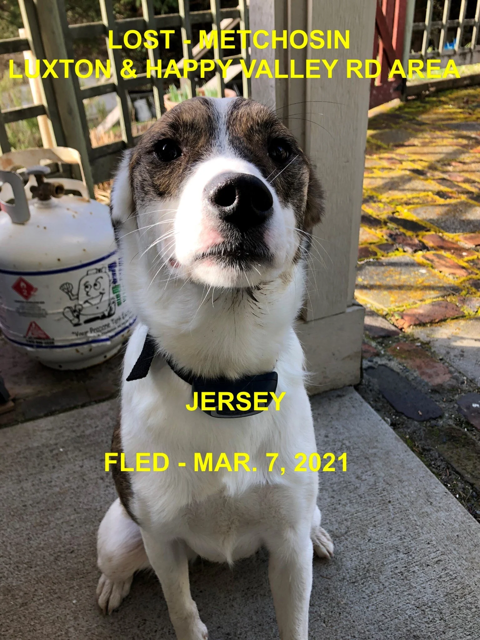 HAPPY ENDINGS - LANGFORD BC - JERSEY - MAR. 7, 2021