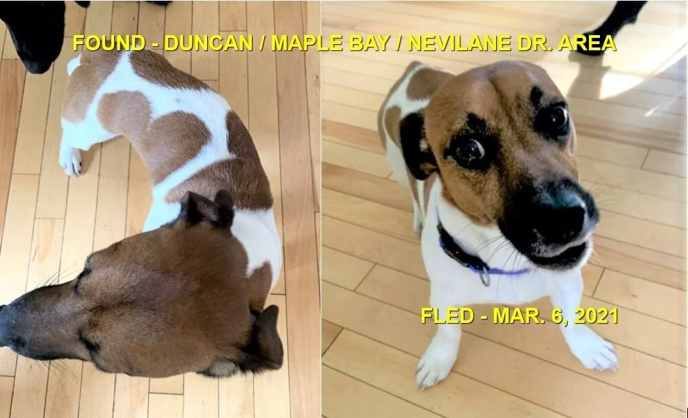 HAPPY ENDINGS - DUNCAN BC - MAR. 6, 2021