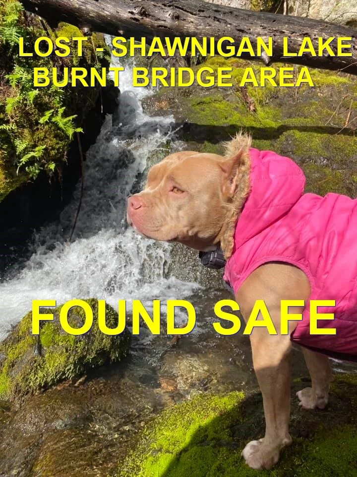 HAPPY ENDINGS - SHAWNIGAN LAKE BC - PANDORA - MAR. 5, 2021