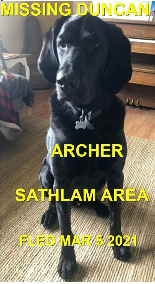 HAPPY ENDINGS - DUNCAN BC - ARCHER - MAR. 4, 2021