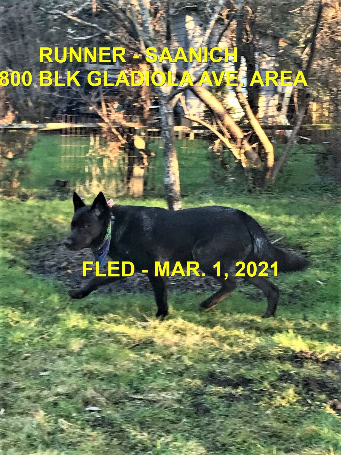 UNRESOLVED - SAANICH BC - MAR. 1, 2021
