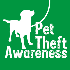 PSA - THEFT OF DOGS - FEB 27, 2021