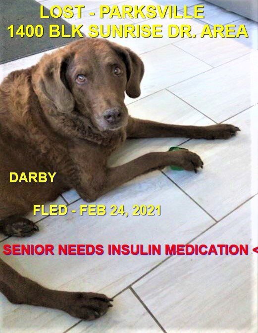 OVER THE RAINBOW BRIDGE - PARKSVILLE - DARBY - FEB 24, 2021