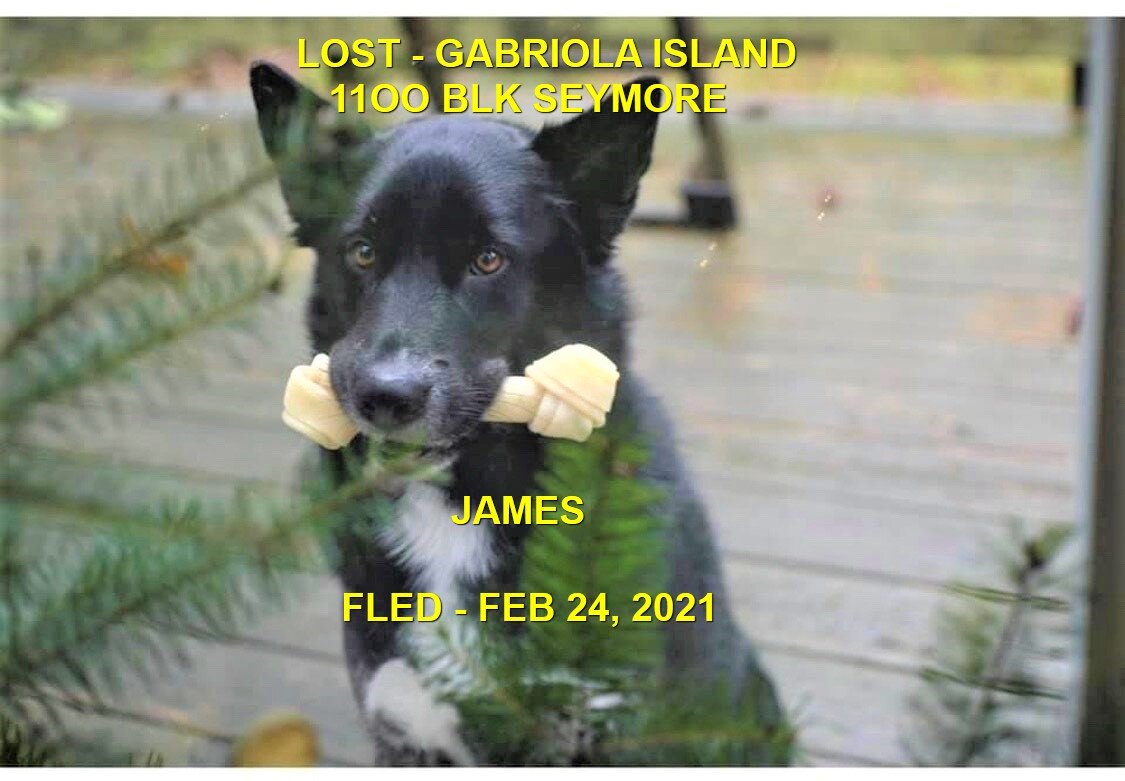 STILL MISSING - GABRIOLA ISLAND - JAMES - OCT. 27, 2020