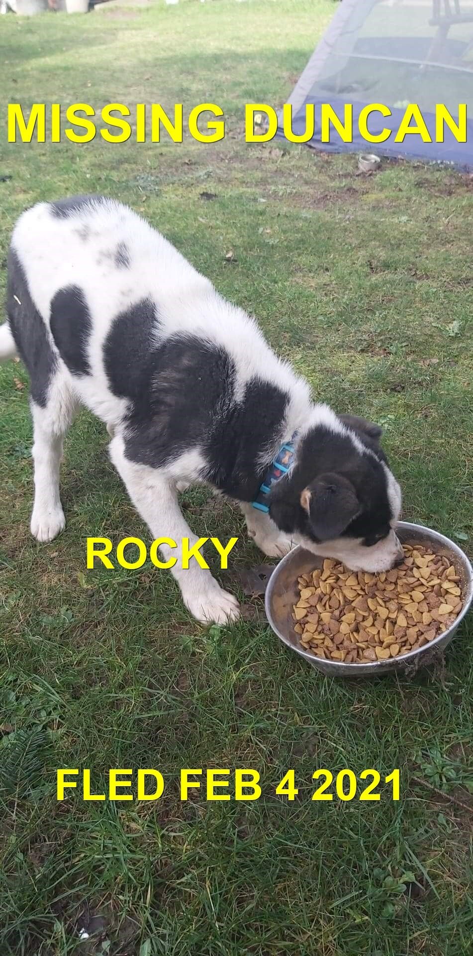 STILL MISSING -DUNCAN - ROCKY - FEB. 4, 2021