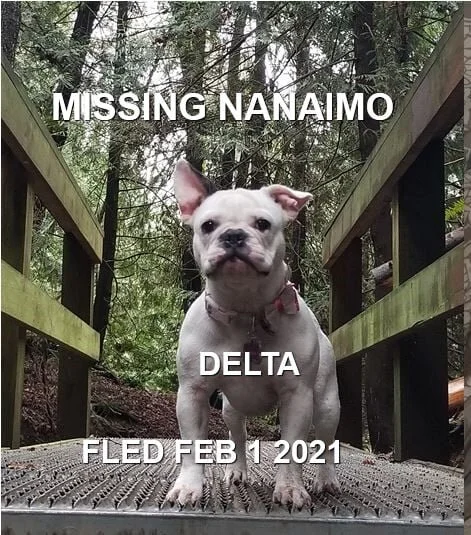 STILL MISSING - NANAIMO BC - DELTA - JAN. 29, 2021