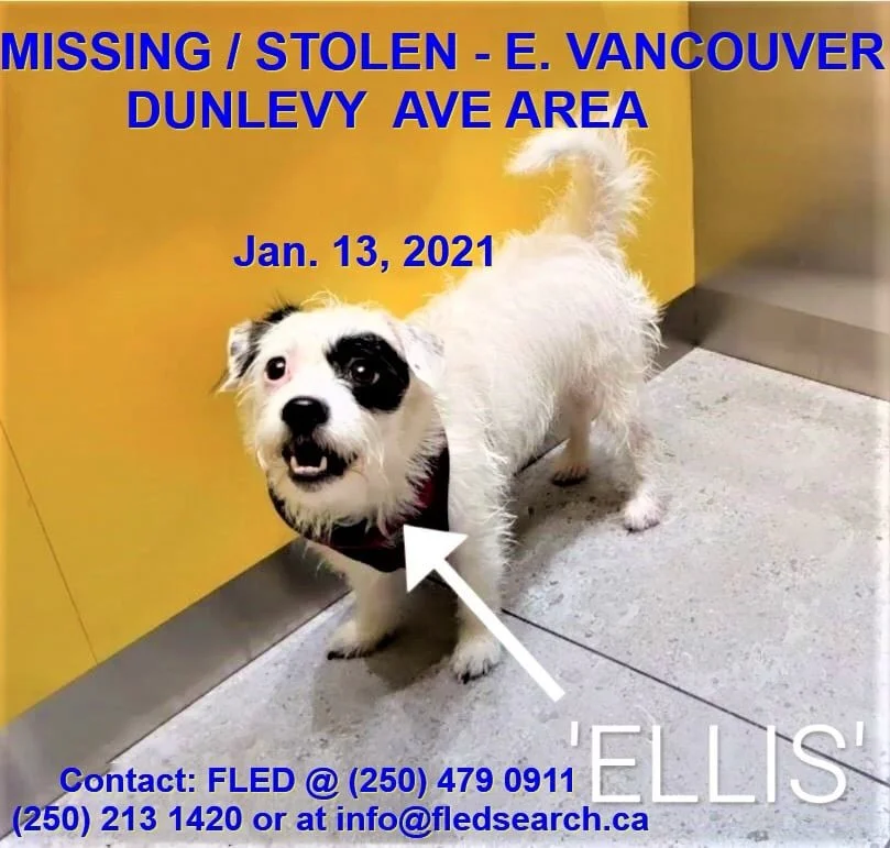 STILL MISSING - VANCOUVER BC - ELLIS - 