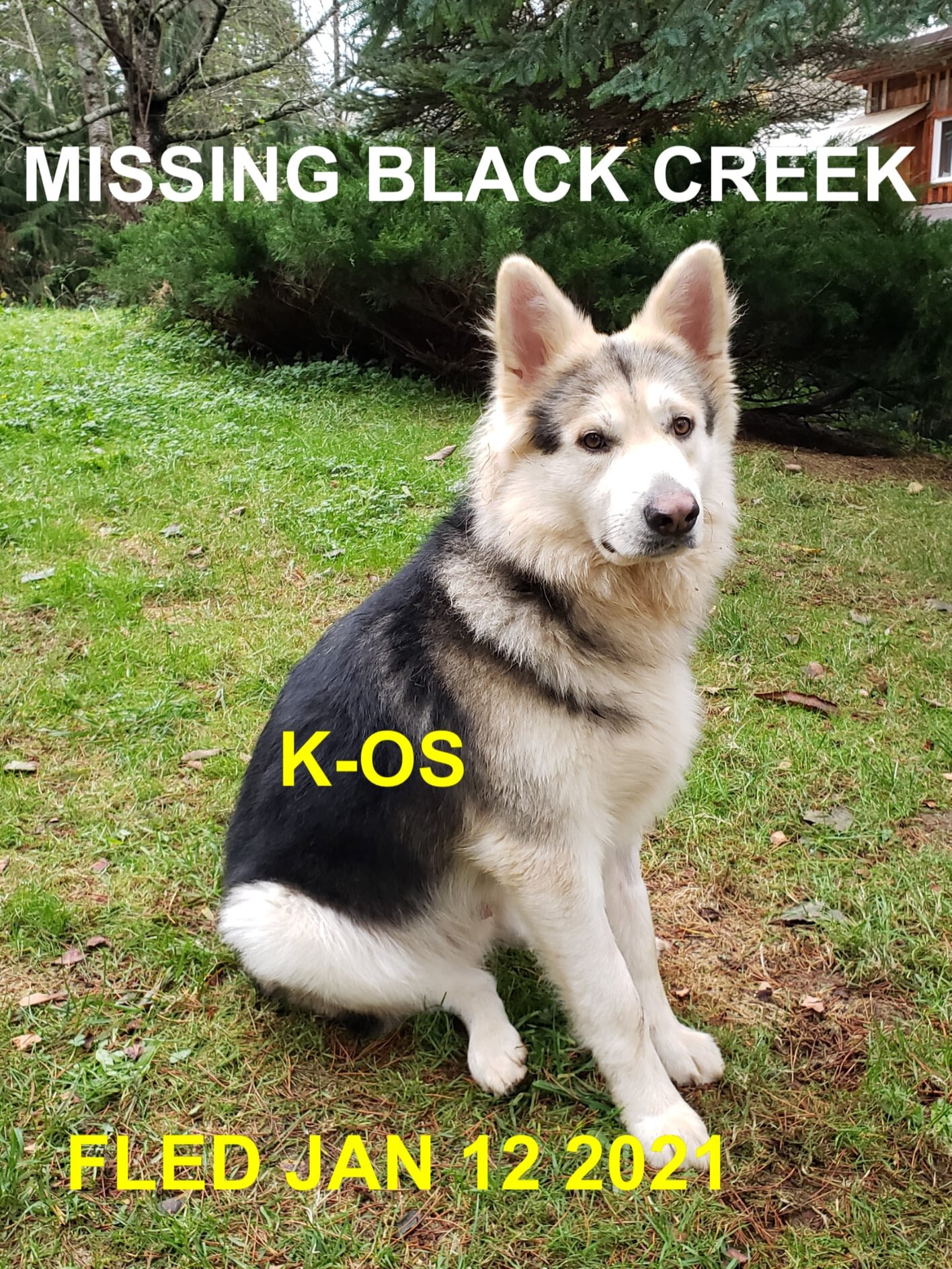STILL MISSING - BLACK CREEK BC - K-OS - JAN 12, 2021