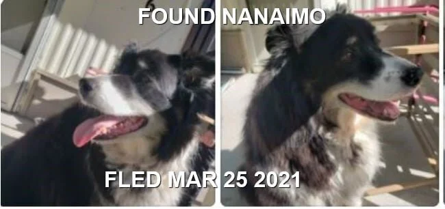 HAPPY ENDINGS - NANAIMO BC - MAR. 25, 2021