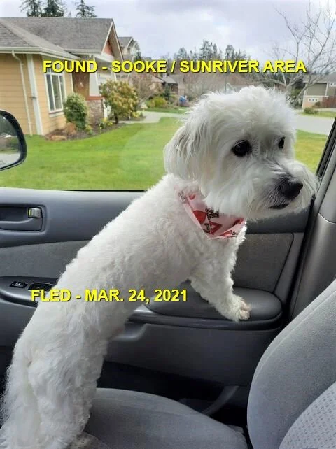 HAPPY ENDING - SOOKE BC - MAR. 24, 2021