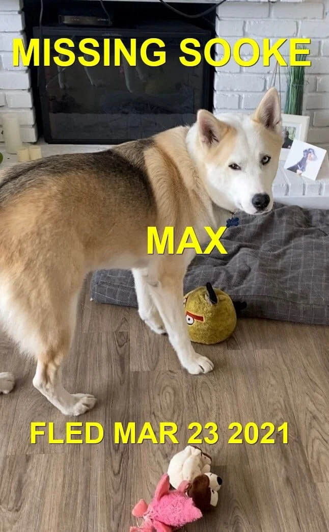 HAPPY ENDINGS - SOOKE BC - MAX - MAR. 23, 2021