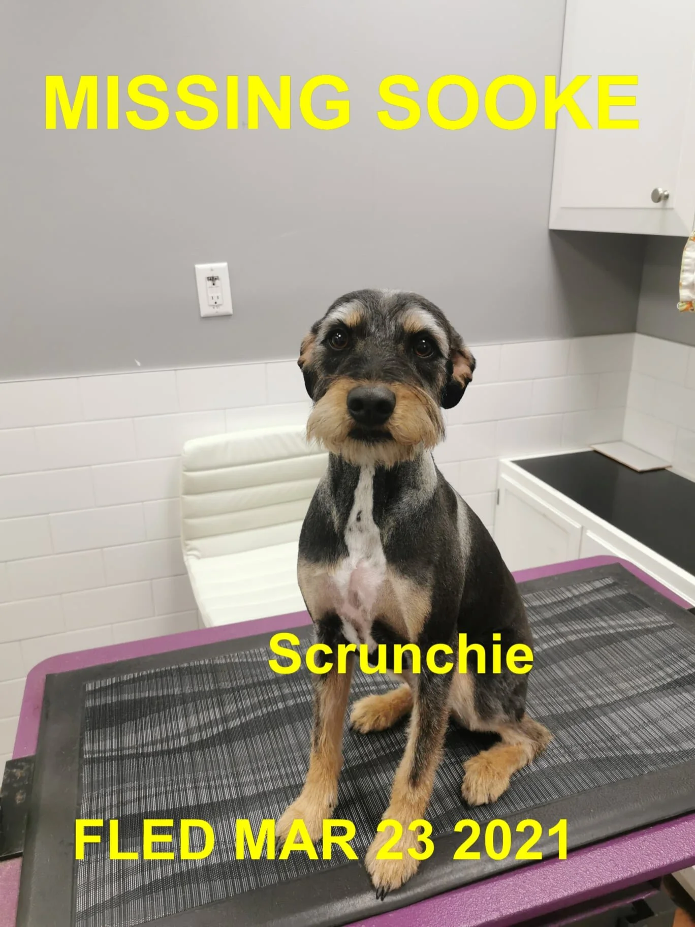 HAPPY ENDINGS - SOOKE BC - SCRUNCHIE - MAR. 23, 2021