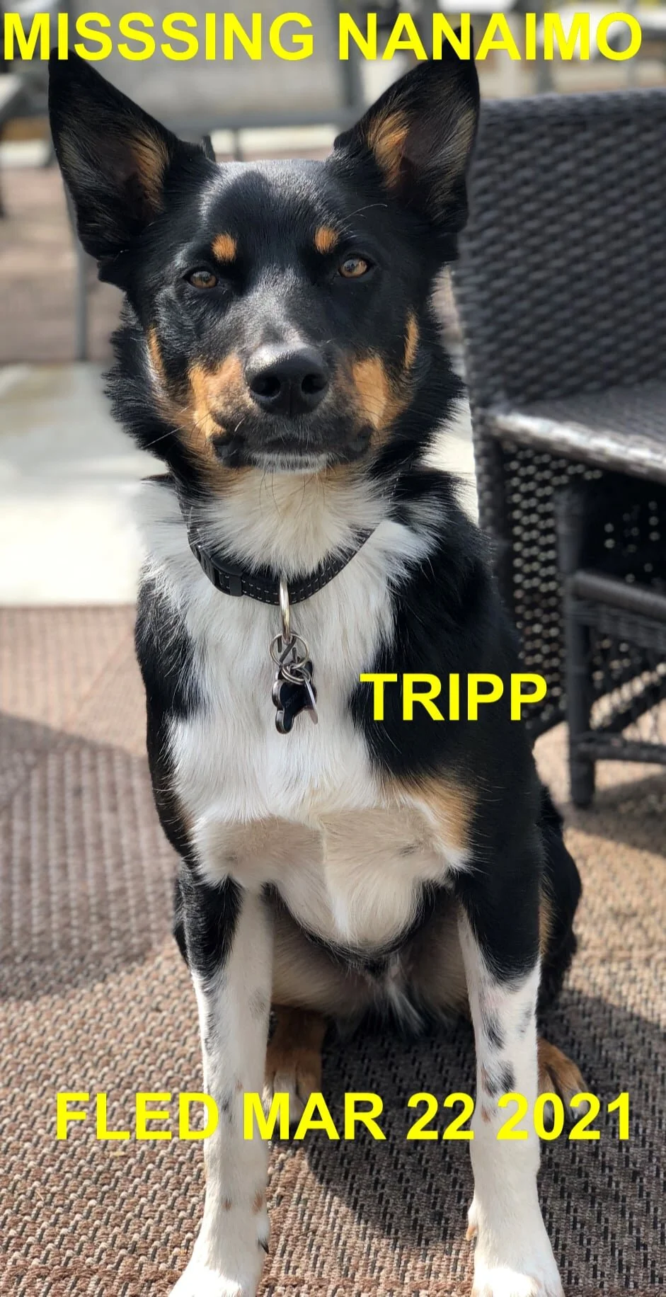 HAPPY ENDINGS - NANAIMO BC - TRIPP - MAR. 22, 2021