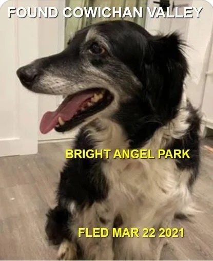HAPPY ENDINGS - COWICHAN - BRITE ANGEL PARK - MAR. 22, 2021