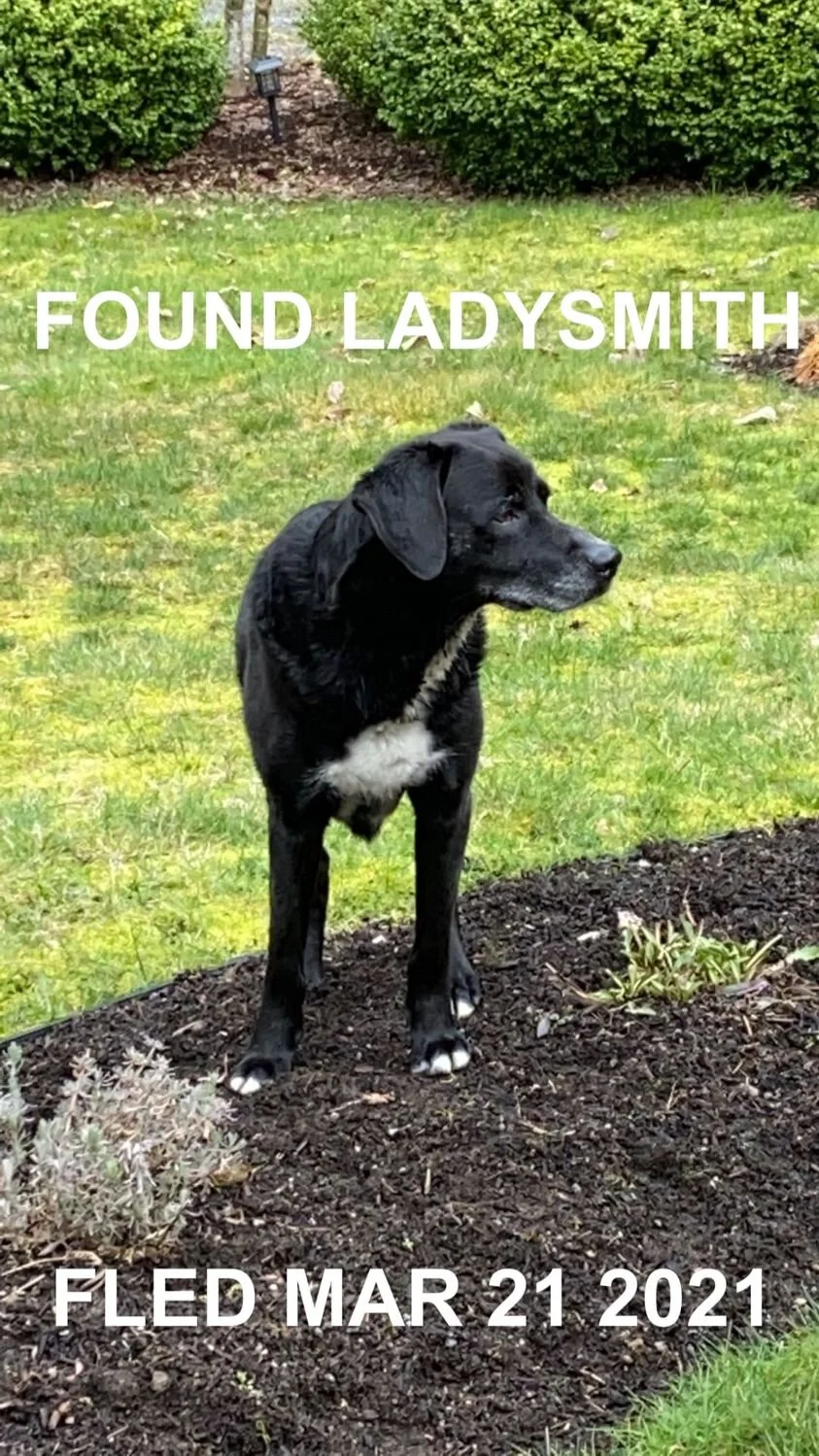 HAPPY ENDINGS - LADYSMITH BC - MAR. 21, 2021