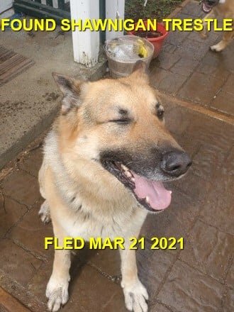 HAPPY ENDINGS - SHAWNIGAN LAKE BC - MAR. 21, 2O21