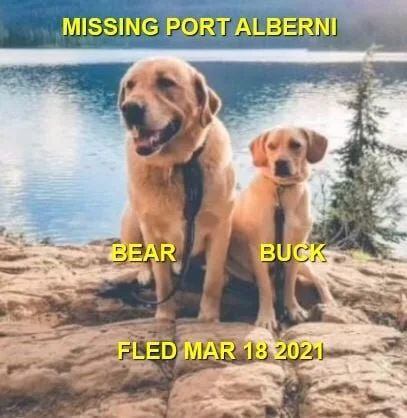 HAPPY ENDINGS - PORT ALBERNI BC - BEAR &amp; BUCK - MAR. 18, 2021