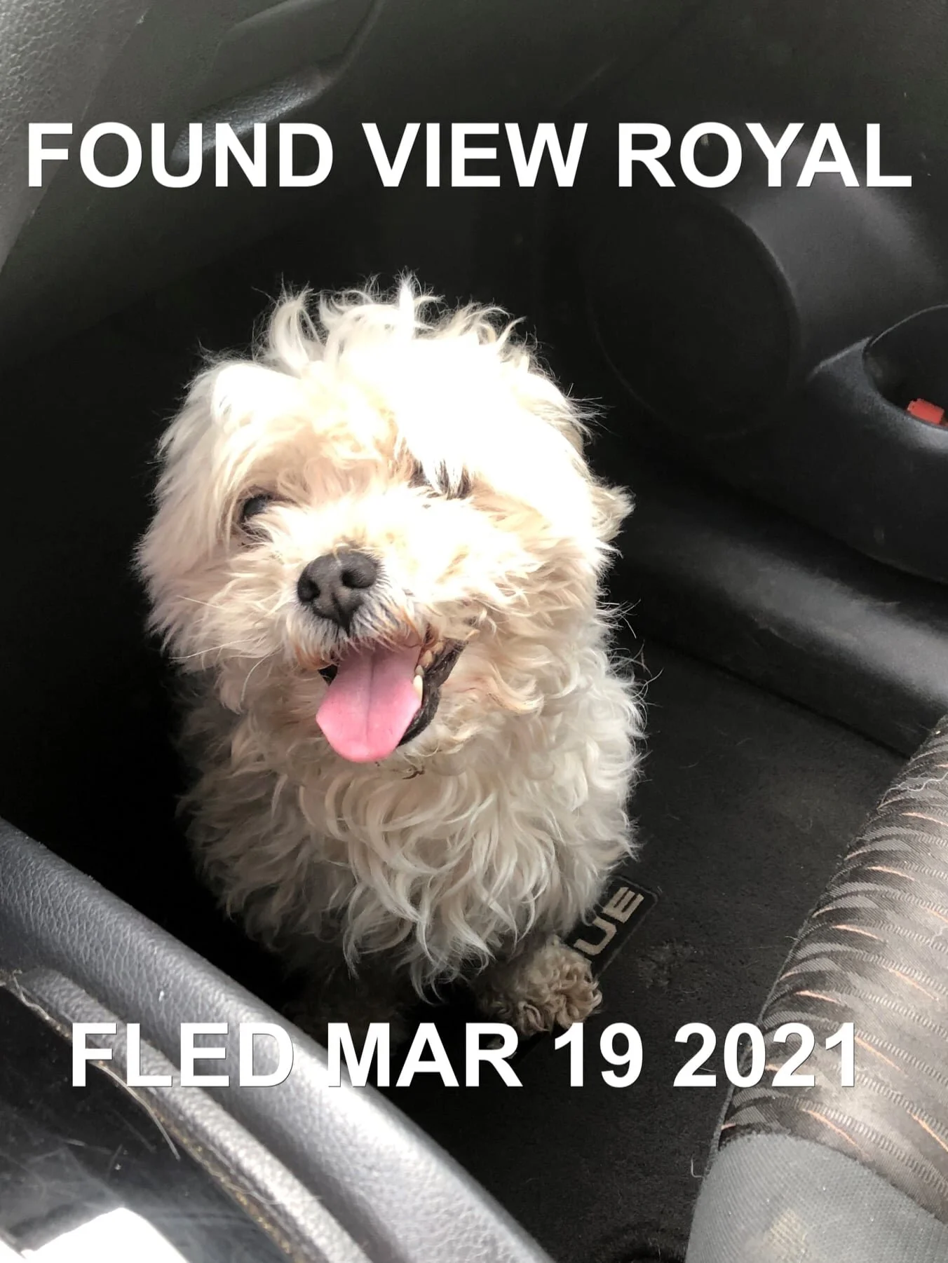GONE TO SHELTER - VIEW ROYAL BC - MAR. 19, 2021