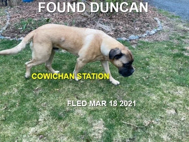 HAPPY ENDINGS - DUNCAN BC - MAR. 18, 2021