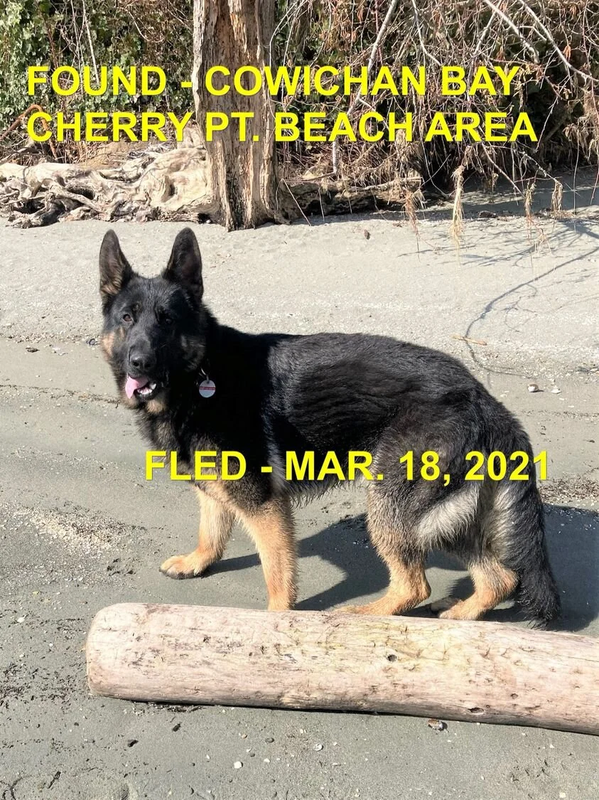 HAPPY ENDINGS - COWICHAN BAY BC - MAR. 18, 2021