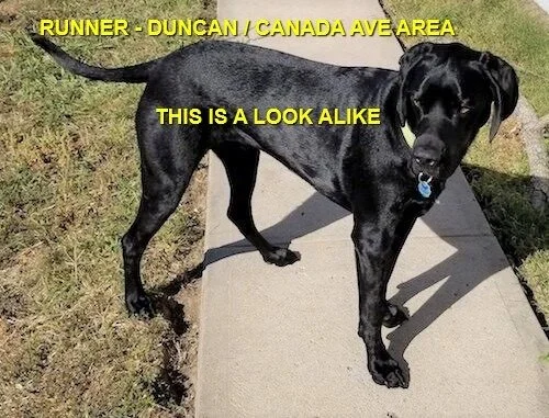 UNRESOLVED - DUNCAN BC - MAR. 17, 2021