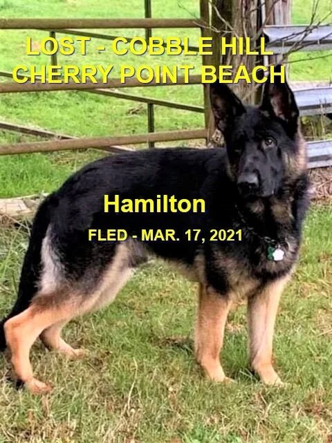 HAPPY ENDINGS - COBBLE HILL BC - HAMILTON - MAR 17, 2021