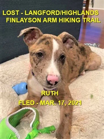 HAPPY ENDINGS - HIGHLANDS BC - RUTH - MAR. 17, 2021