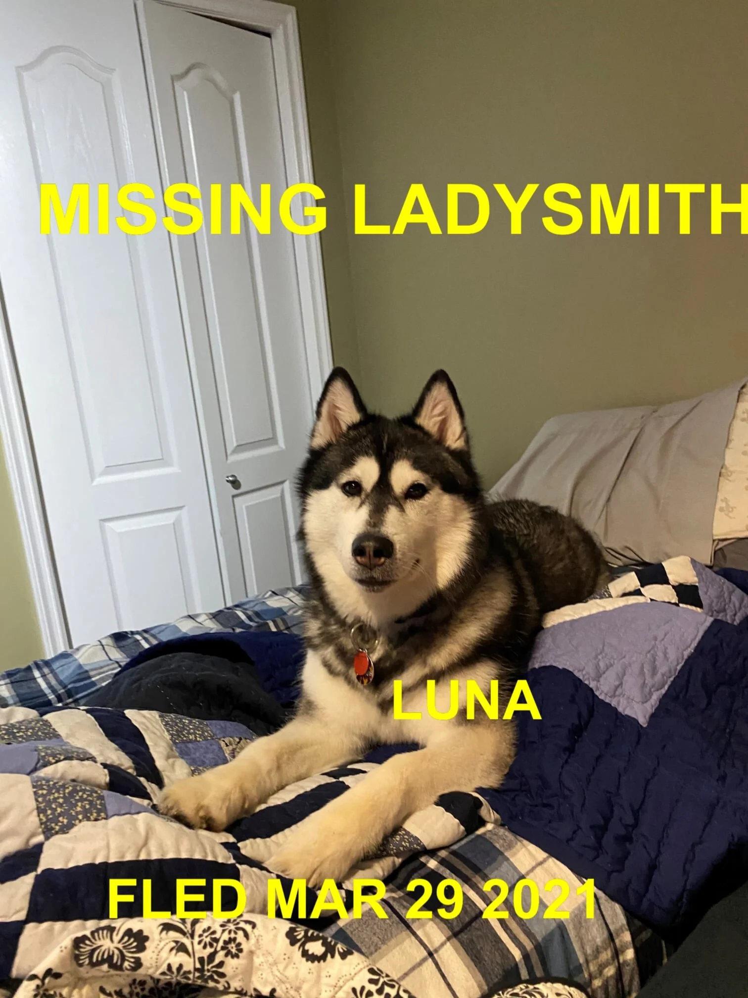 HAPPY ENDINGS - LADYSMITH BC - LUNA - MAR. 29, 2021