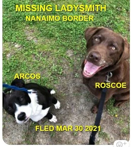 HAPPY ENDINGS - NANAIMO/LADYSMITH - ROSCOE &amp; ARCOS - MAR. 30, 2021