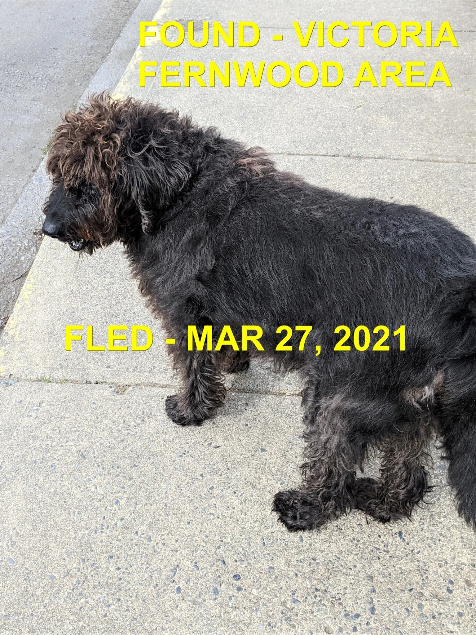 HAPPY ENDINGS - VICTORIA BC. - MAR. 27, 2021